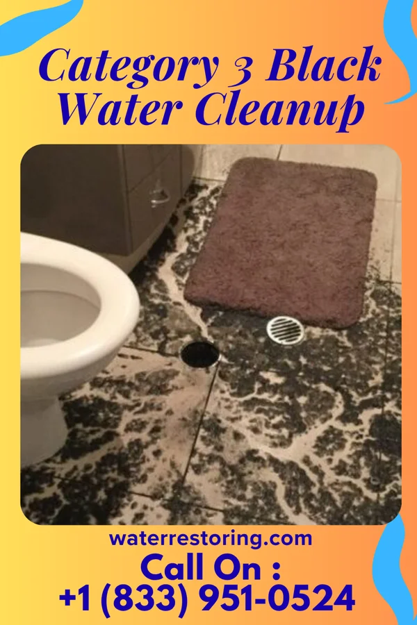 Category 3 Black Water Cleanup in Birch Hill, WI