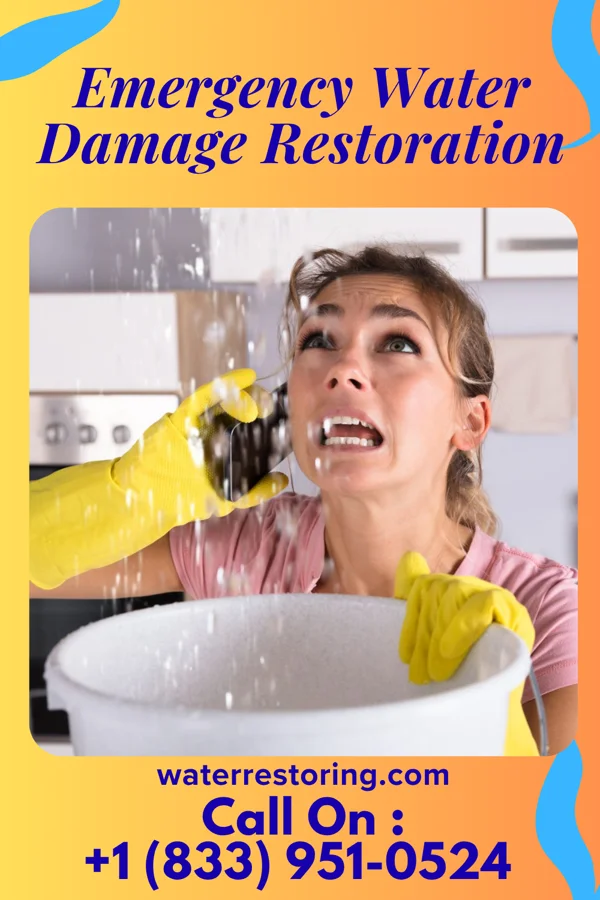 Emergency Water Damage Restoration in Birch Hill, WI
