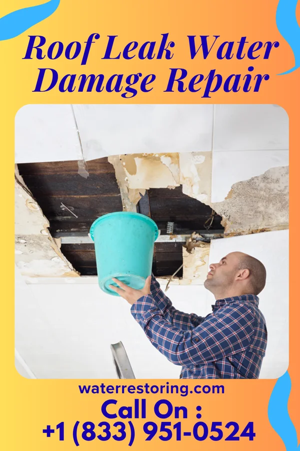 Roof Leak Water Damage Repair in Birch Hill, WI